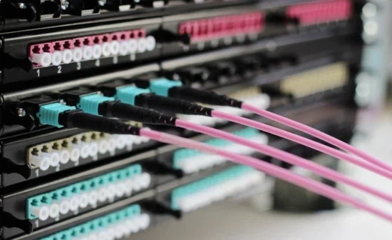 Polarity Configuration: Type B Is the Safest Choice Polarity Configuration: Type B Is the Safest Choice